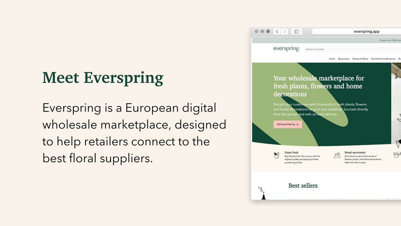 Everspring ‑ Dropshipping EU