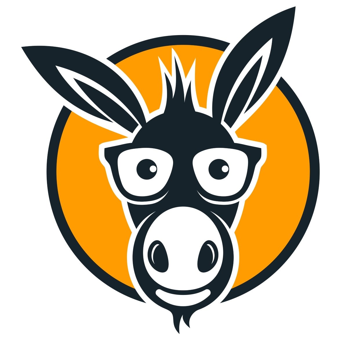 Donkey Digital Ltd