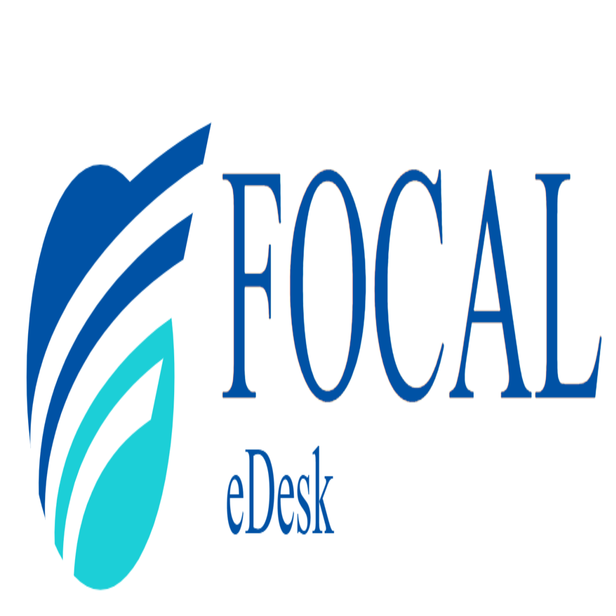 Focal Software, Inc