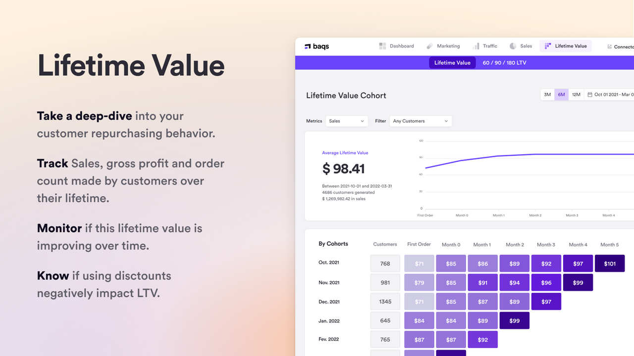 Lifetime Value (LTV)
