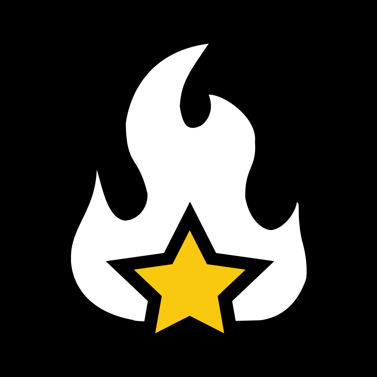 Trialfire Inc.