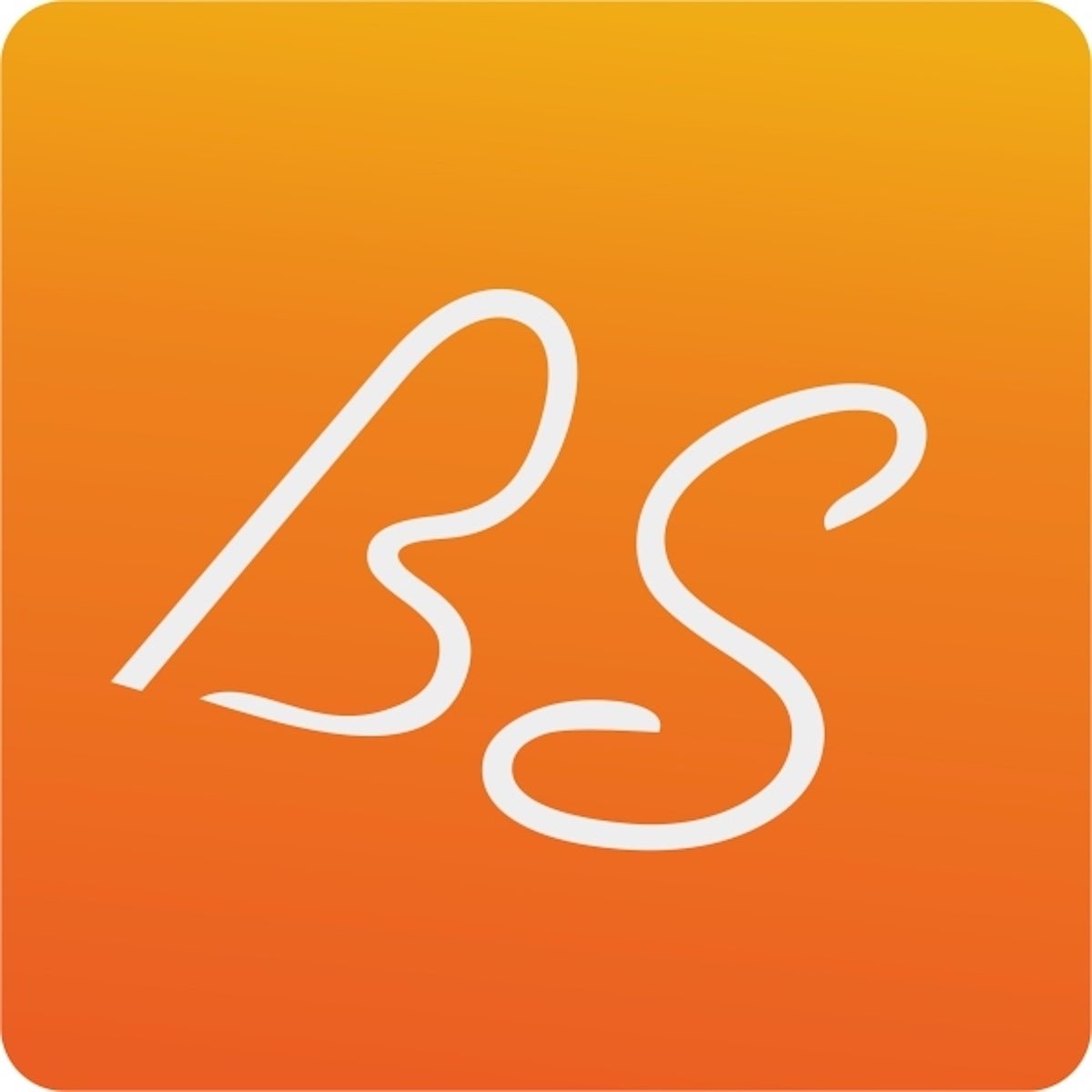 shenzhen bsdropshipping trading co., ltd