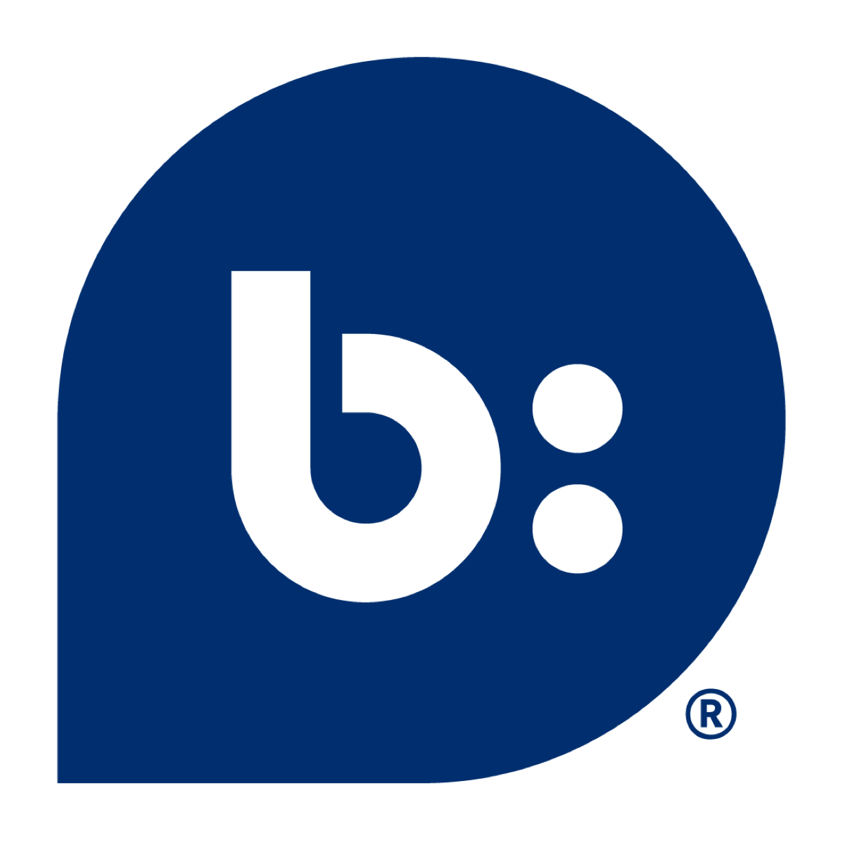 Bazaarvoice Inc.
