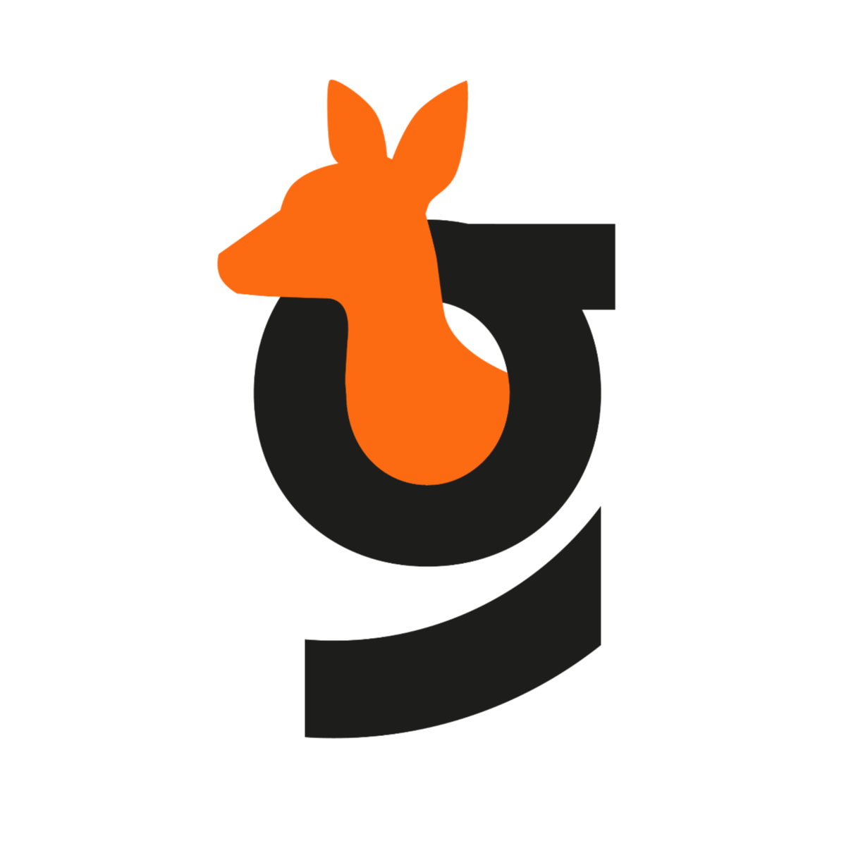 Kangu Transportes