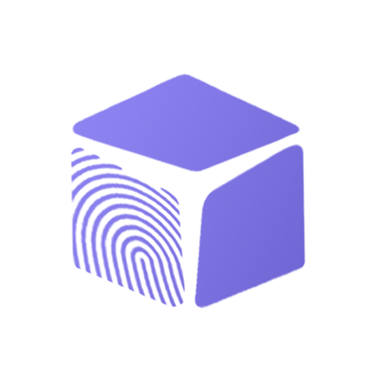CustomizingBox