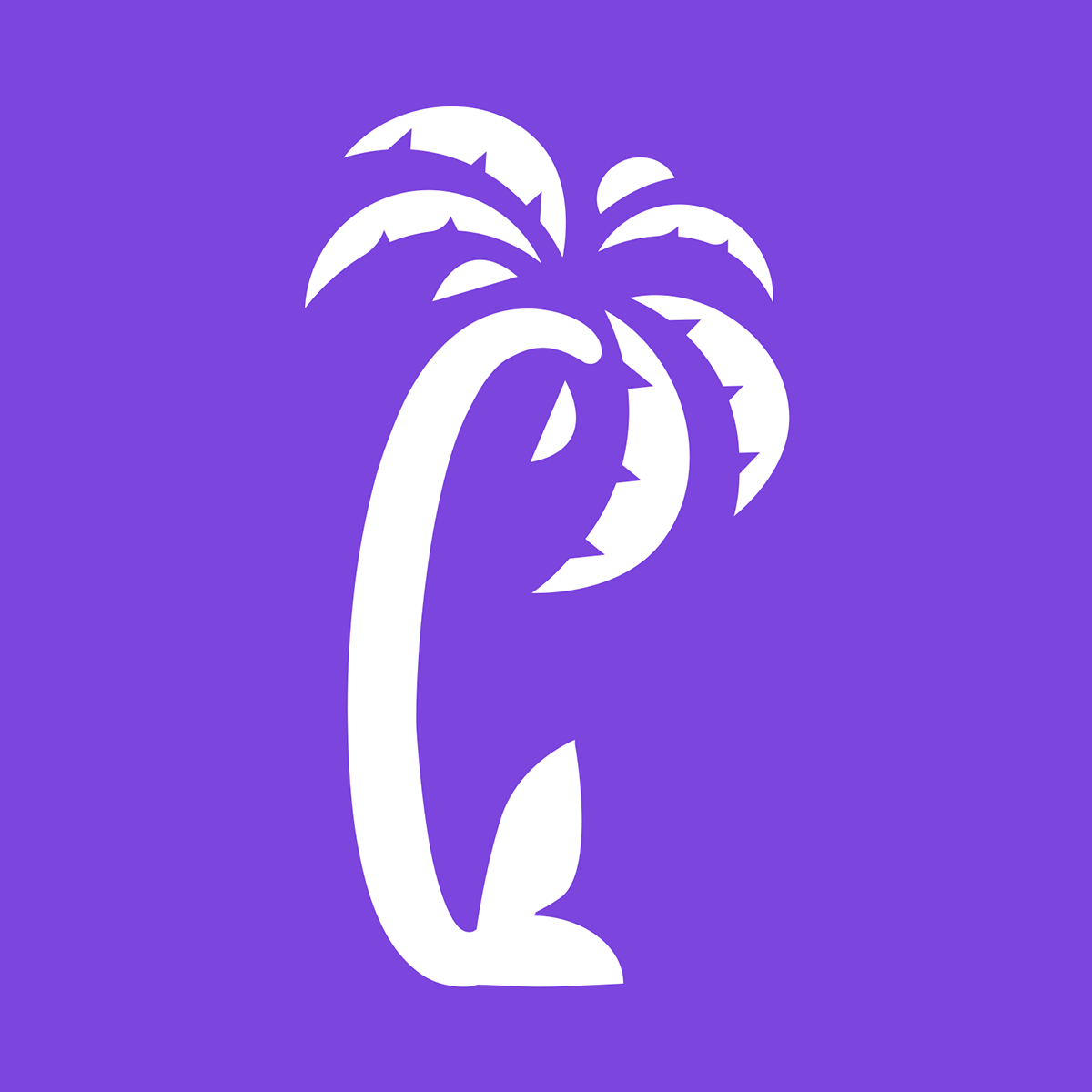 SendPalm:Pop Up,Email&Verifier Shopify App