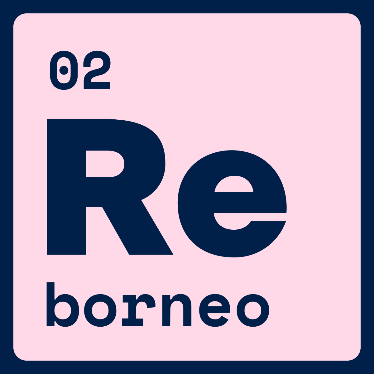 Electric Borneo Cat B.V.