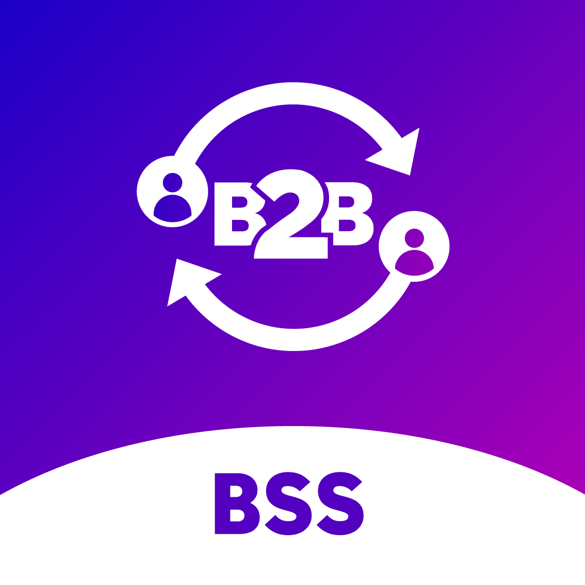 B: Wholesale Customer Accounts