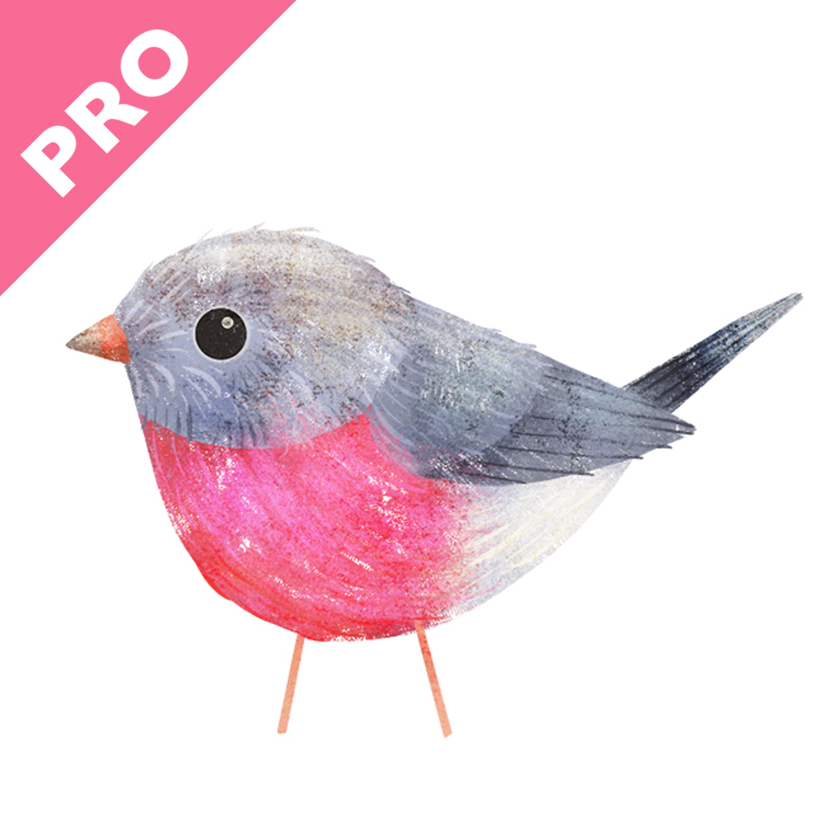 Photo Gallery | Robin PRO Shopify App