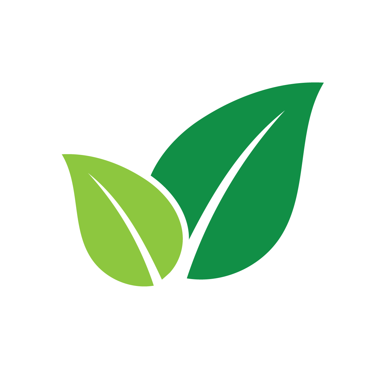 Shoora Product Recommendations