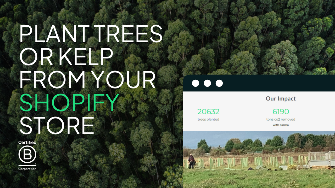 Carma: Trees/Kelp at Checkout