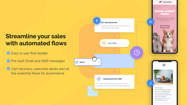 Amplified Email & Abandon Cart