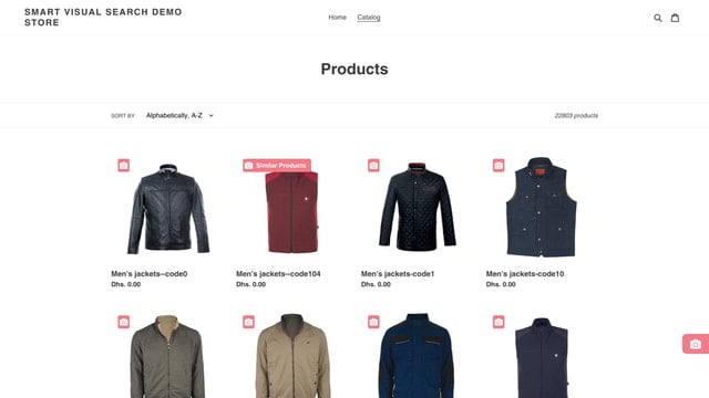 Smart Visual Search