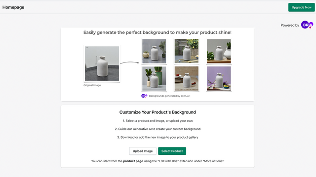 AI Background Remove&Generate