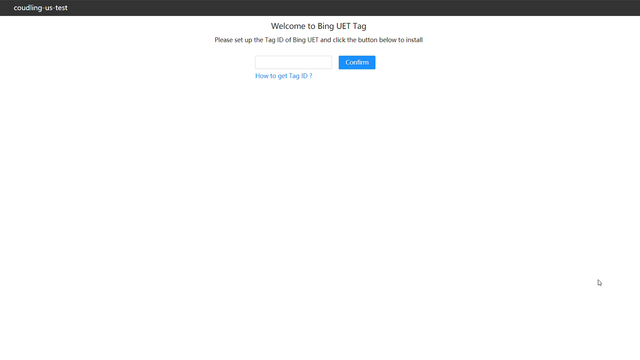 Westwin Bing UET Tag